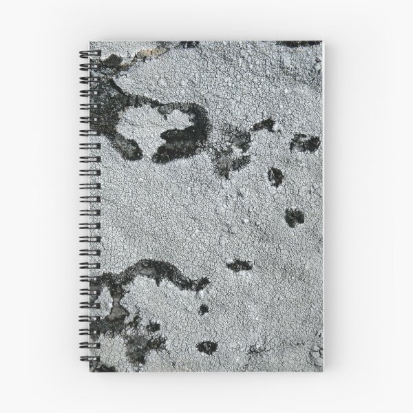 Item preview, lichen designed and sold by KathleenDawson.