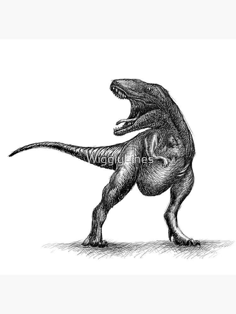 Dinosaur Sketch Black Signature — SEEGMILLER ART