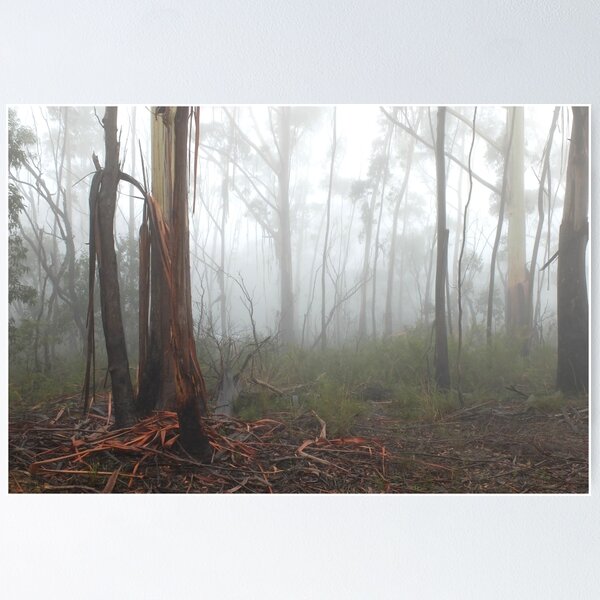 Item preview, Mountain Ash Trees in Mist 2 designed and sold by Geoff Smith.