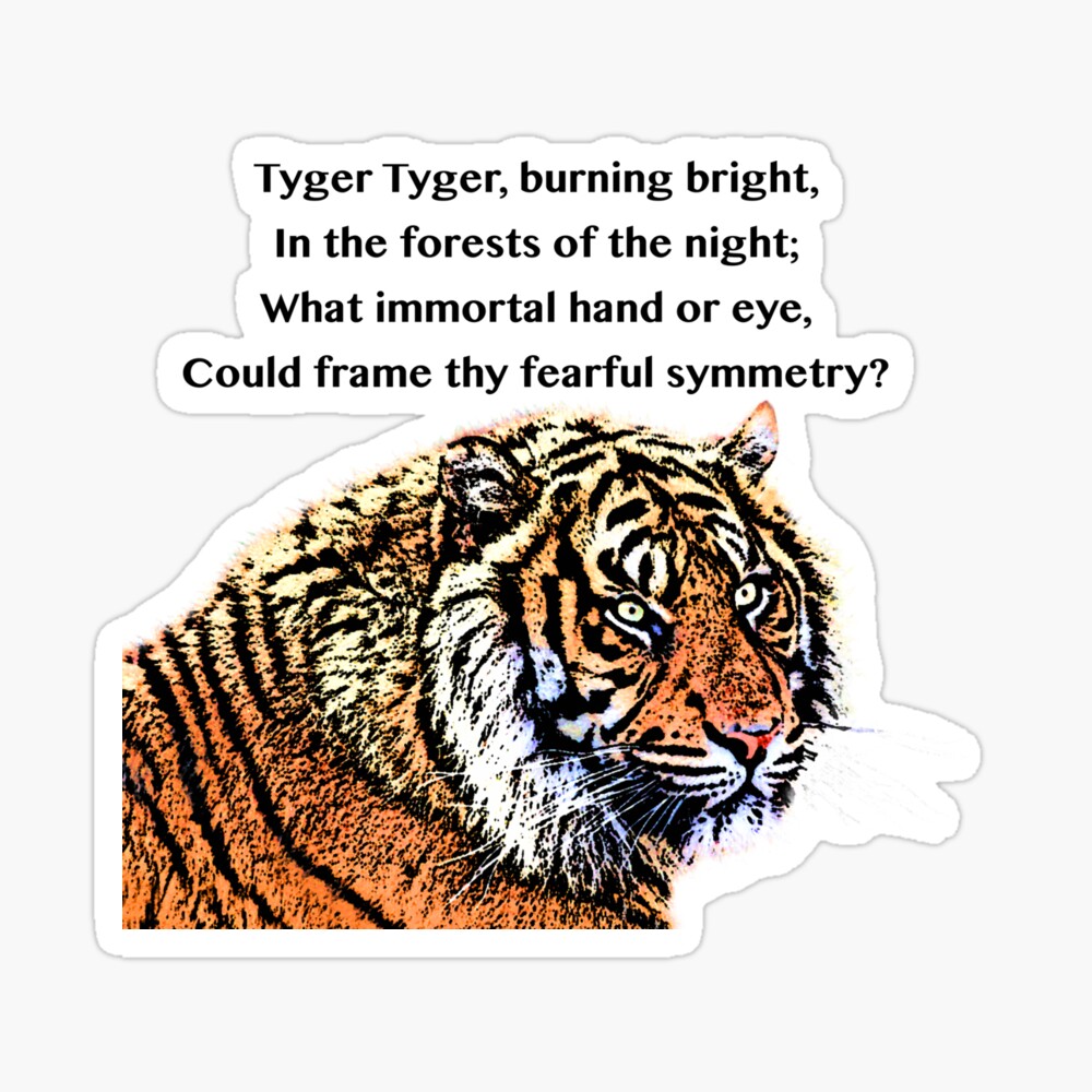 the tyger summary line by line