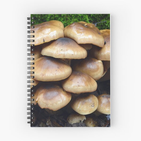 Item preview, Condominio de Shroom designed and sold by John McCarthy.