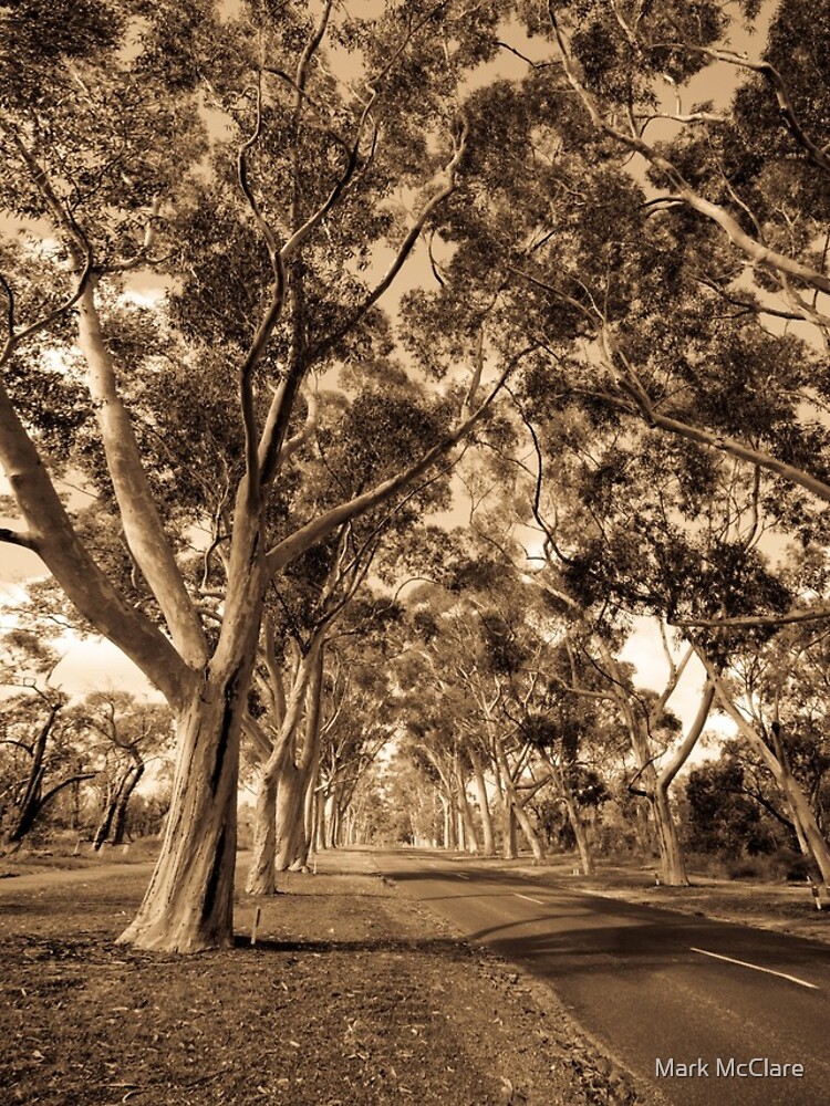 Lovekin Drive by mcclare