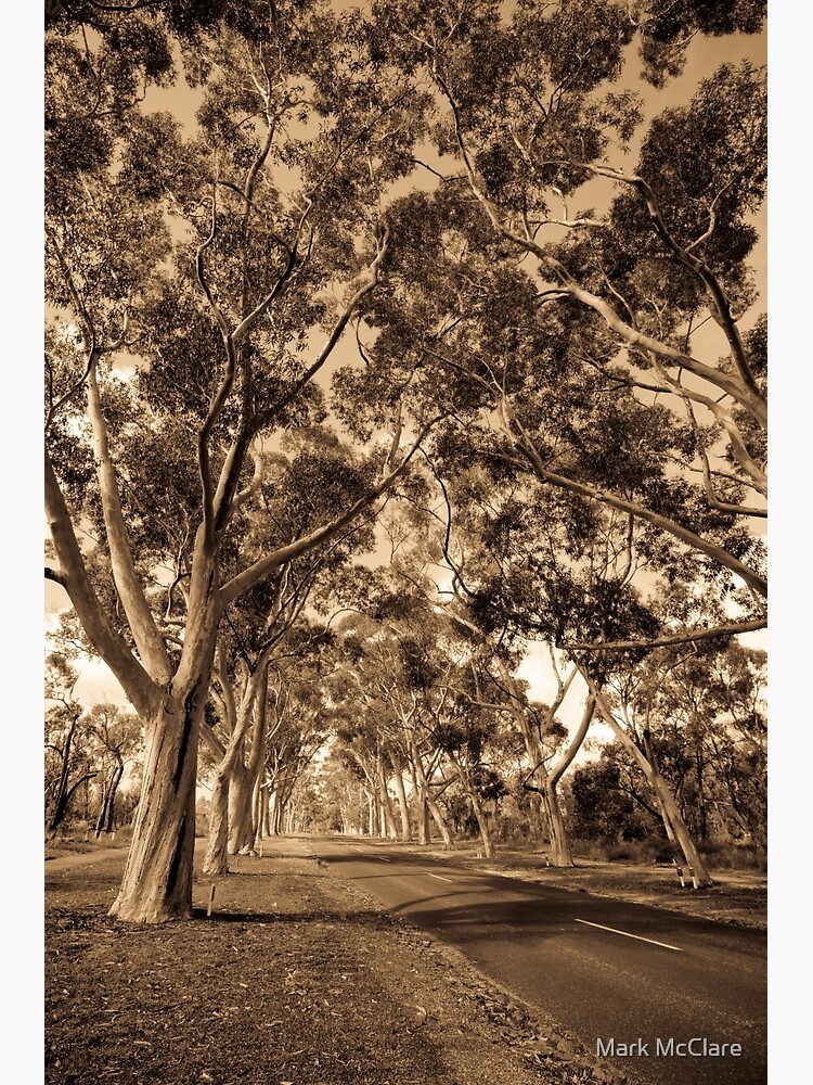 Lovekin Drive by mcclare