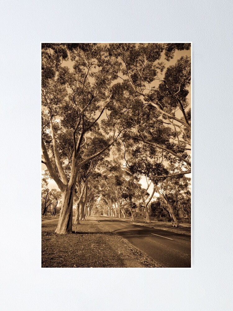 Alternate view of Lovekin Drive Poster