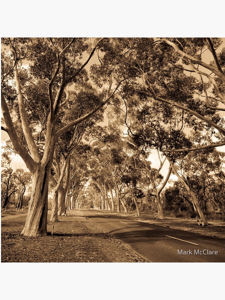 Lovekin Drive by mcclare