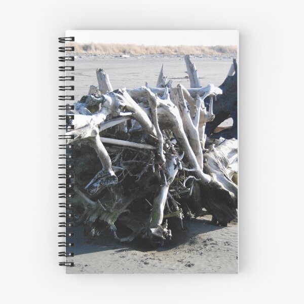 Item preview, Washington Coast Driftwood designed and sold by John McCarthy.