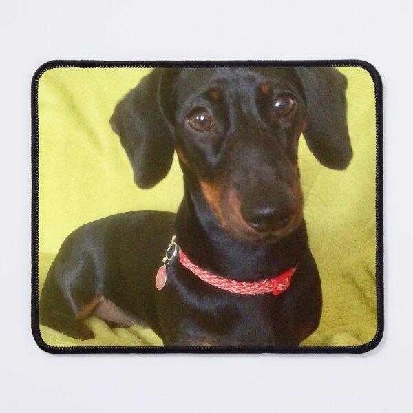 Item preview, “Sausage Mania”. Love Animals. designed and sold by Angela Haig-Harrison.