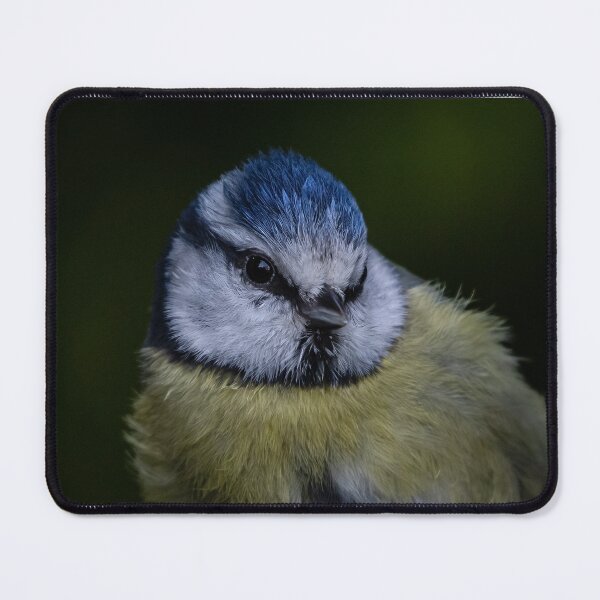 Item preview, Blue Tit in Portrait designed and sold by Adrian Rowley.