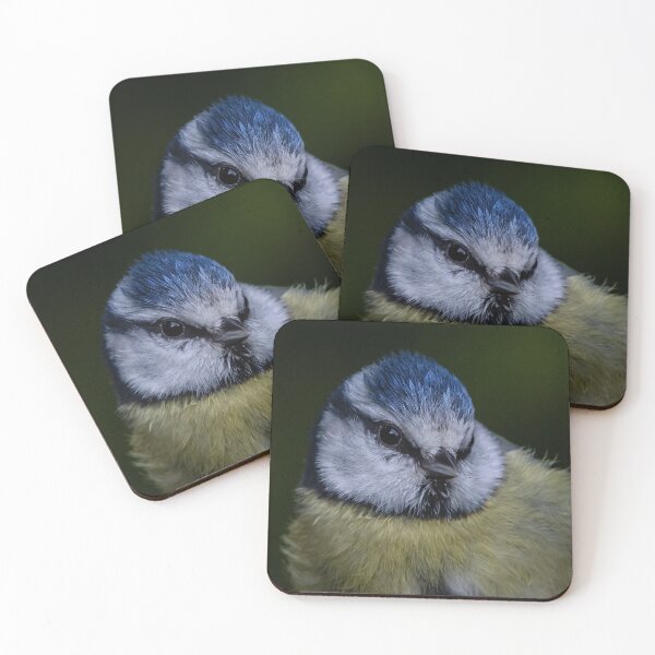 Item preview, Blue Tit in Portrait designed and sold by Adrian Rowley.