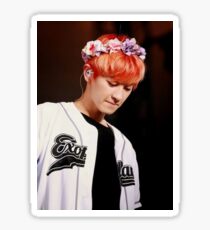 Chanyeol - EXO Sticker