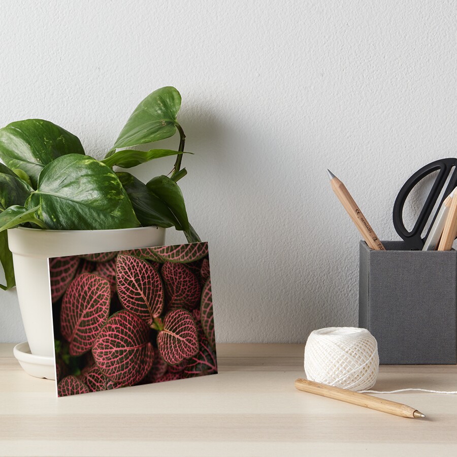 Item preview, Art Board Print designed and sold by Bianca-Jansen.