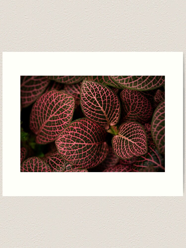 Thumbnail 2 of 3, Art Print, Mosaic leaves designed and sold by Bianca-Jansen.
