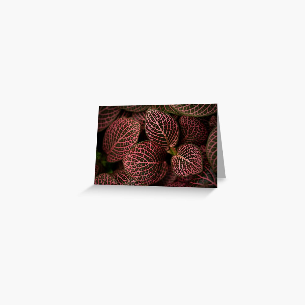 Item preview, Greeting Card designed and sold by Bianca-Jansen.