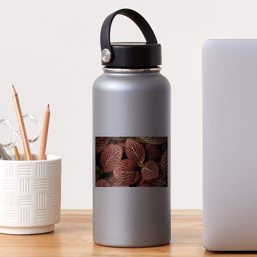 Item preview, Transparent Sticker designed and sold by Bianca-Jansen.
