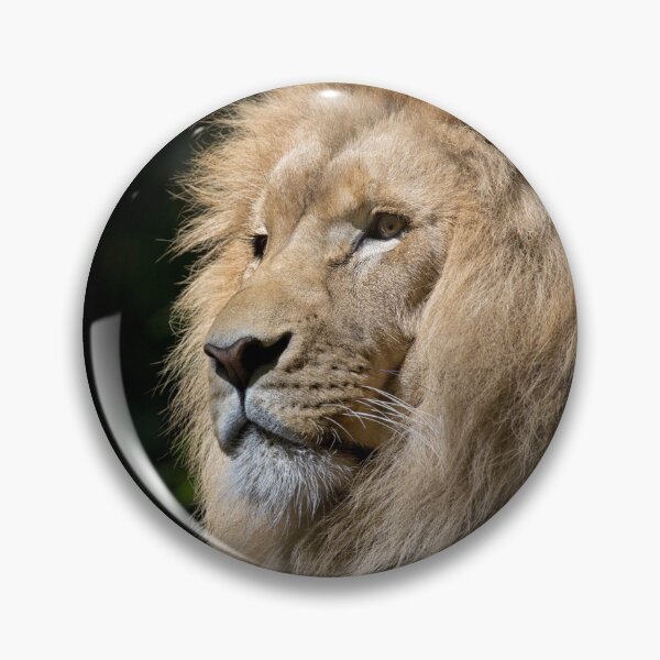 Item preview, Lion face designed and sold by nahfoolio.