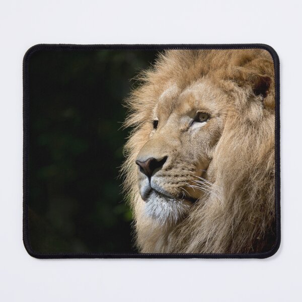 Item preview, Lion face designed and sold by nahfoolio.