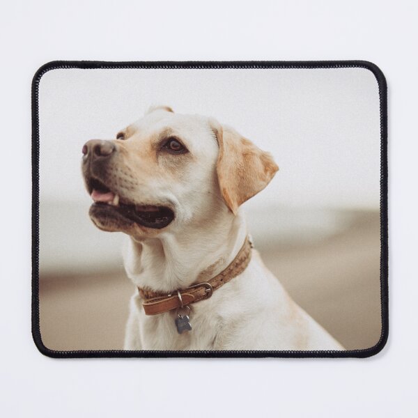 Item preview, Smiling dog designed and sold by nahfoolio.