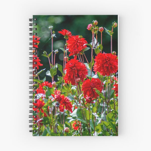 Item preview, BODENSEE : Red dahlias designed and sold by creefot.