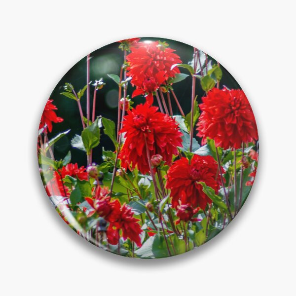 Item preview, BODENSEE : Red dahlias designed and sold by creefot.