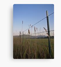 Fields of Grace Canvas Print