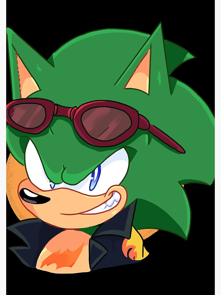 Scourge the Hedgehog  Hedgehog art, Sonic art, Hedgehog