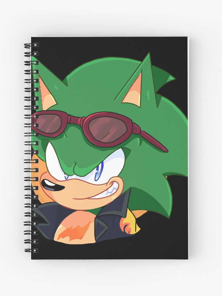 Scourge the Hedgehog  Hedgehog art, Sonic art, Hedgehog