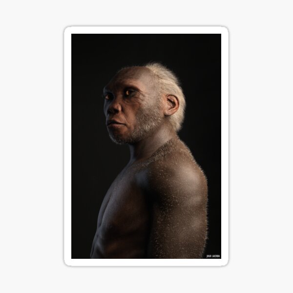 Item preview, Homo habilis designed and sold by Julio Lacerda.