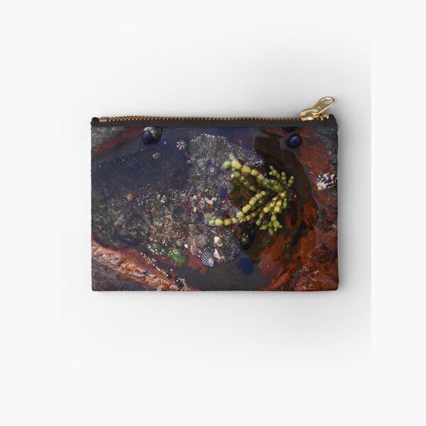Item preview, Rock Pool designed and sold by KazM.