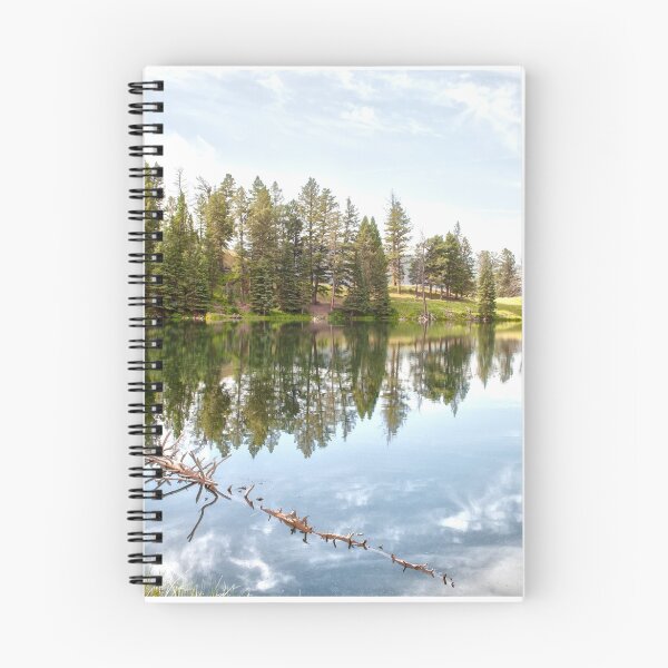 Item preview, Trout Lake Reflection designed and sold by Caleb Ward.