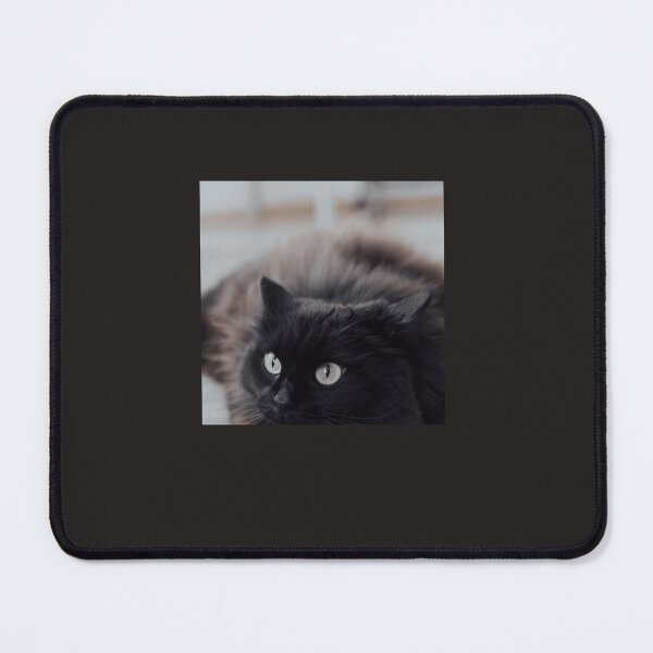 Item preview, cat photo 94 Classic designed and sold by KaylaAmato.