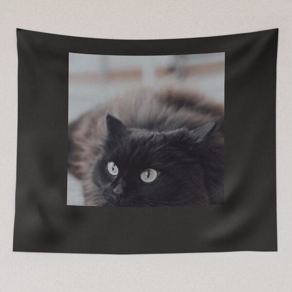 Item preview, cat photo 94 Classic designed and sold by KaylaAmato.