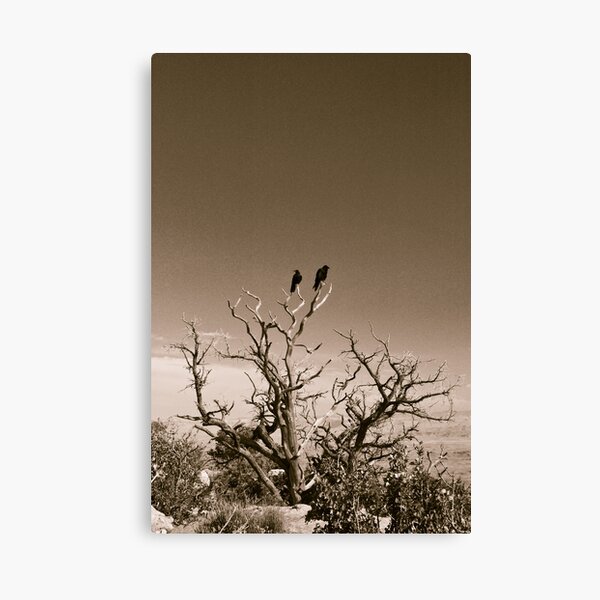 Ravens in Canyonlands National Park Canvas Print