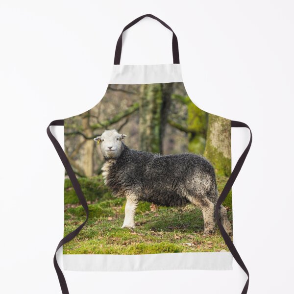 Item preview, Are you looking at me? designed and sold by ConistonPhotos.