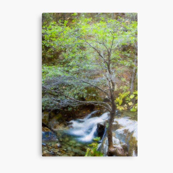 Upper Brandy Creek Falls Metal Print