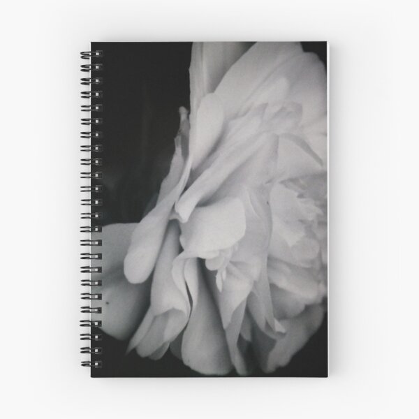 Item preview, Rose designed and sold by BryonySly.