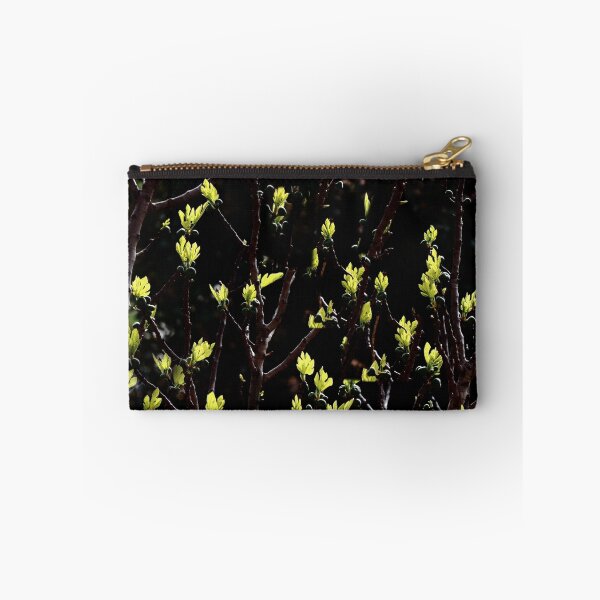 Item preview, Flashes of spring. designed and sold by Paul Pasco.