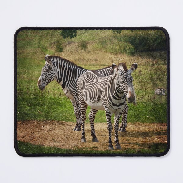 Item preview, Grevy's Zebras designed and sold by Terri Waters Photography & Design.