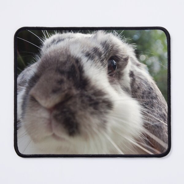 Item preview, Up Close and Personal designed and sold by Terri Waters Photography & Design.
