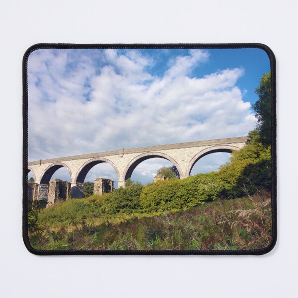 Item preview, College Wood Viaduct Penryn designed and sold by Terri Waters Photography & Design.