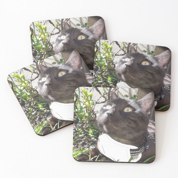Item preview, Kitty, meow, purr designed and sold by Sternchen2789.