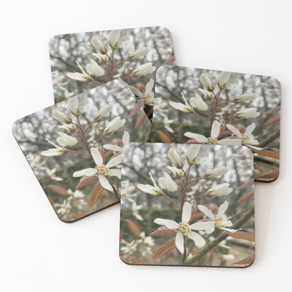 Item preview, Amelanchier Laevis Flower Photography designed and sold by OByD.