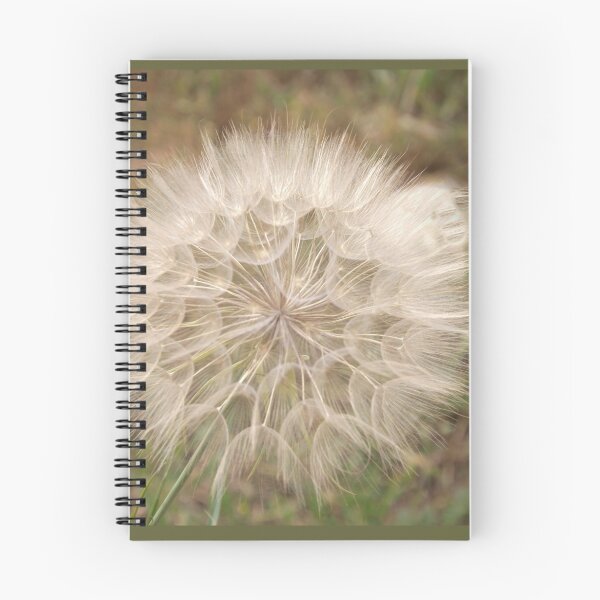 Item preview, Dandelion head designed and sold by GeordieBoi.