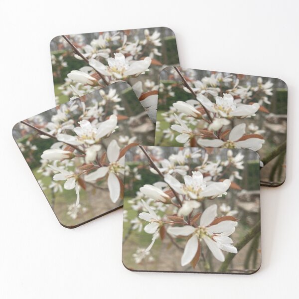 Item preview, Amelanchier Flower Photography designed and sold by OByD.