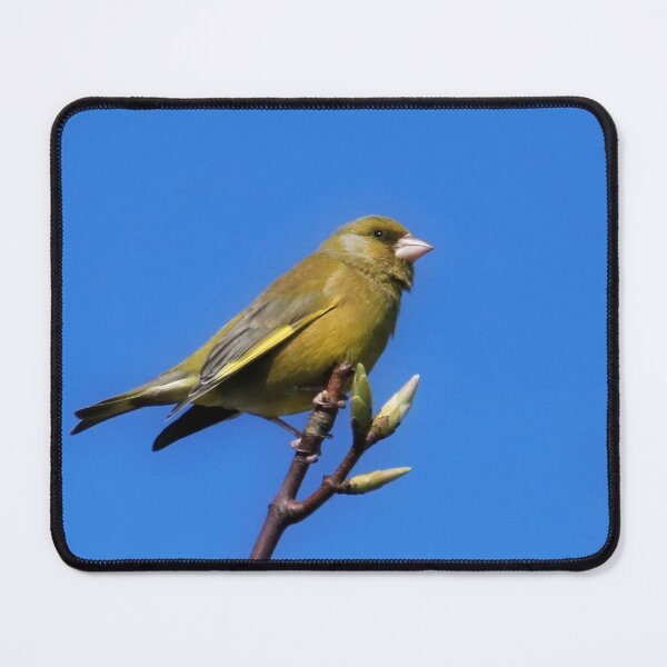Item preview, Greenfinch in Spring designed and sold by Terri Waters Photography & Design.