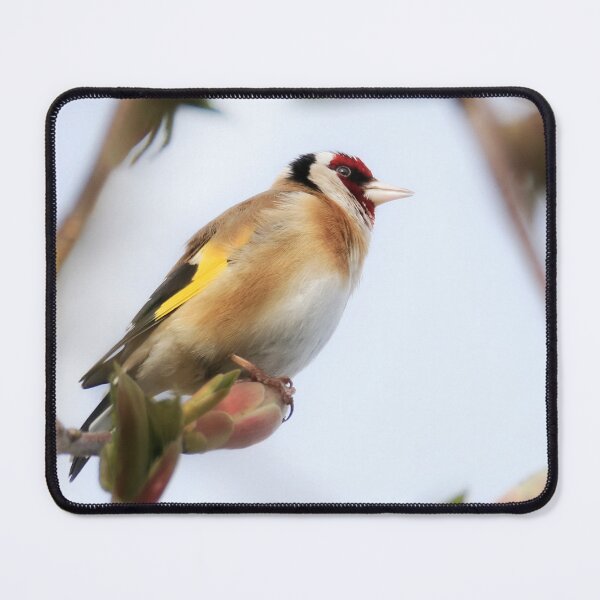 Item preview, Goldfinch in Spring designed and sold by Terri Waters Photography & Design.