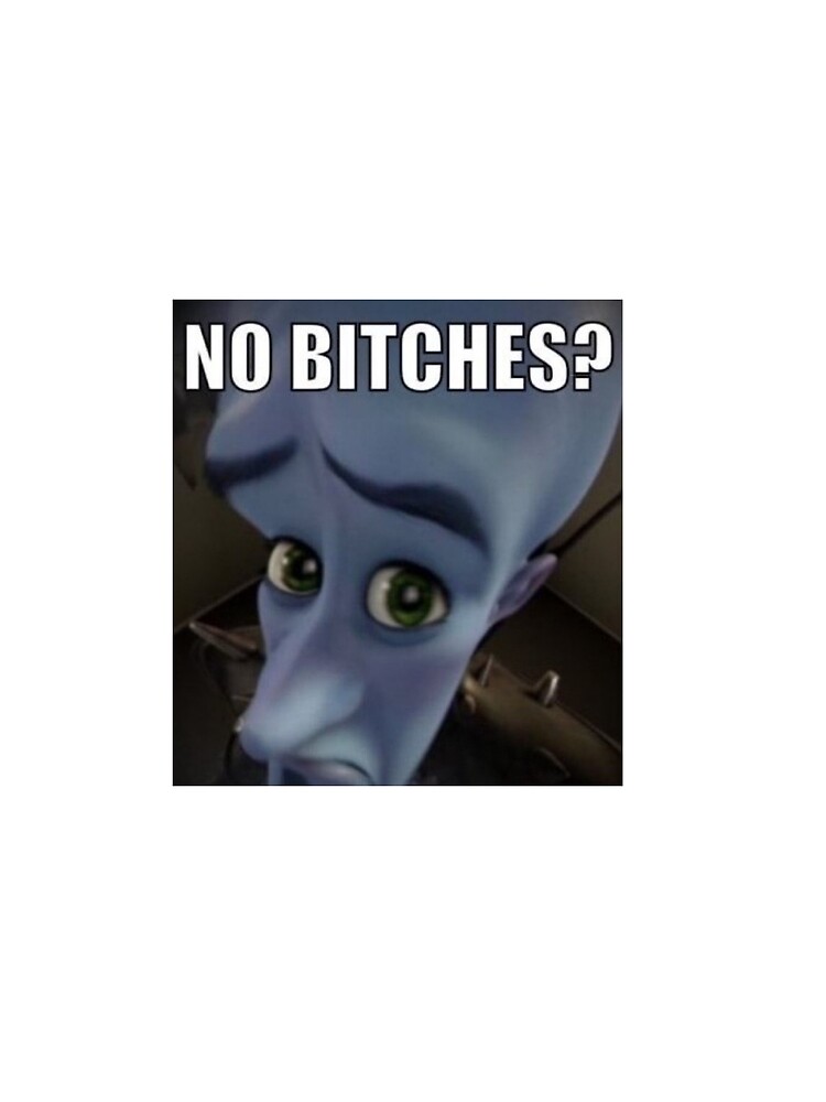 "No bitches megamind meme" T-shirt for Sale by kamilesz Redbubble