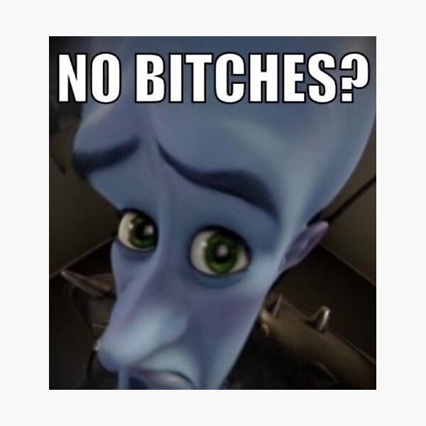 "No Bitches Megamind Meme" Photographic Print For Sale By Kamilesz ...