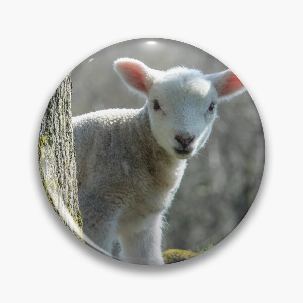 Item preview, Surprise! designed and sold by ConistonPhotos.