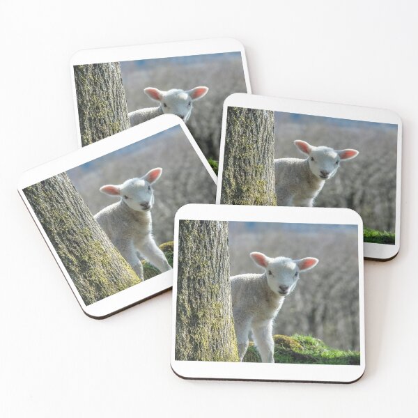 Item preview, Surprise! designed and sold by ConistonPhotos.