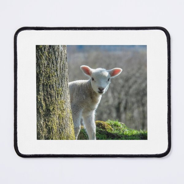 Item preview, Surprise! designed and sold by ConistonPhotos.